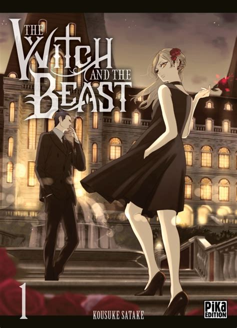 Believing in Magic: Analyzing the Witch and the Beast